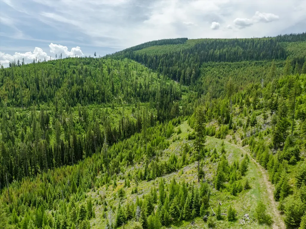 Nhn Fish Creek Road Kalispell MT 59901