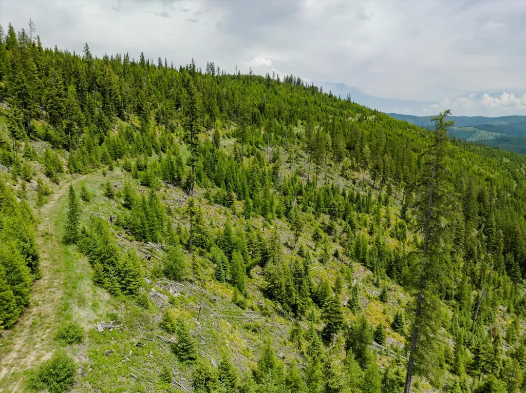 Nhn Fish Creek Road Kalispell MT 59901