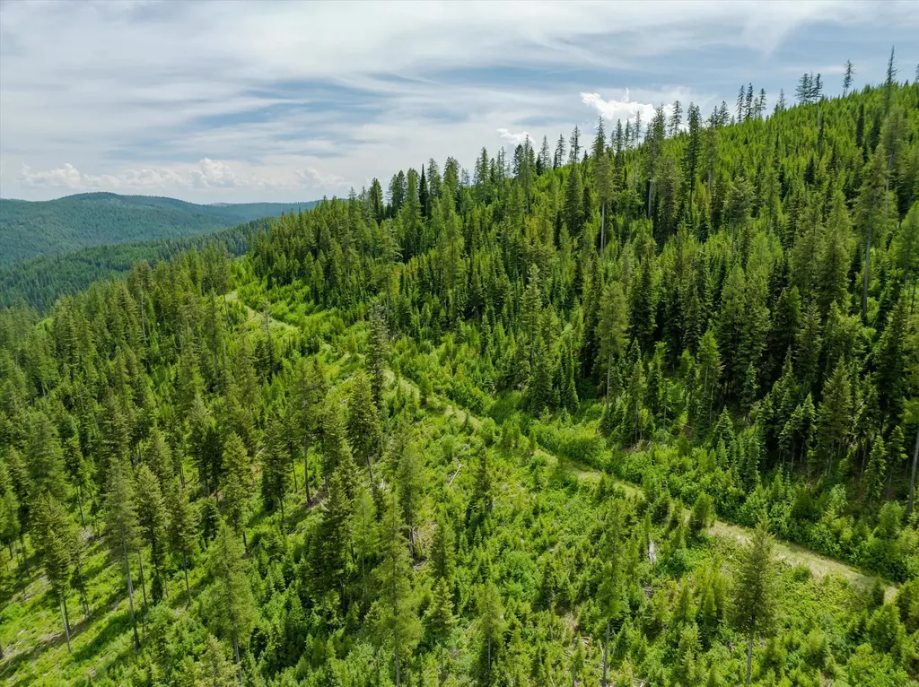 Nhn Fish Creek Road Kalispell MT 59901