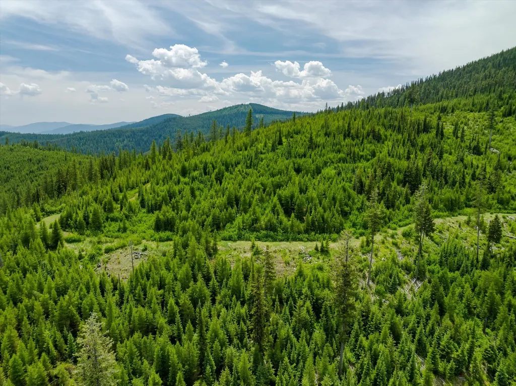 Nhn Fish Creek Road Kalispell MT 59901