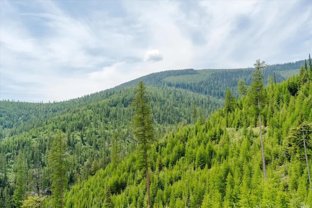 Nhn Fish Creek Road Kalispell MT 59901