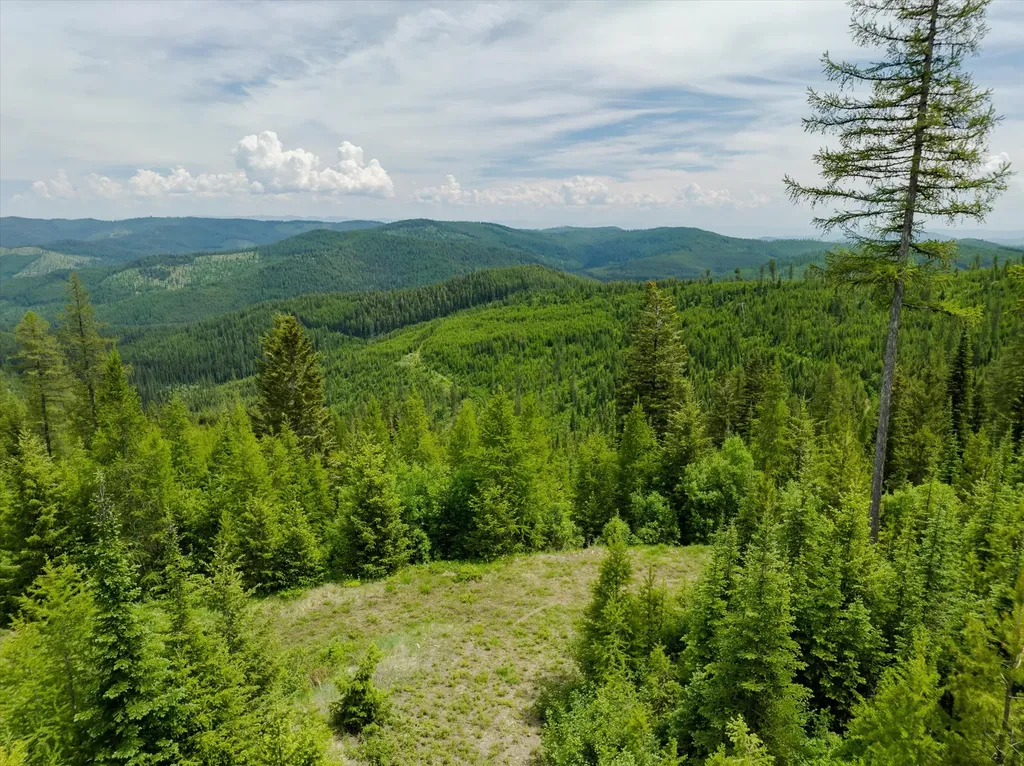 Nhn Fish Creek Road Kalispell MT 59901