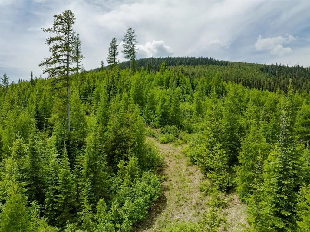 Nhn Fish Creek Road Kalispell MT 59901