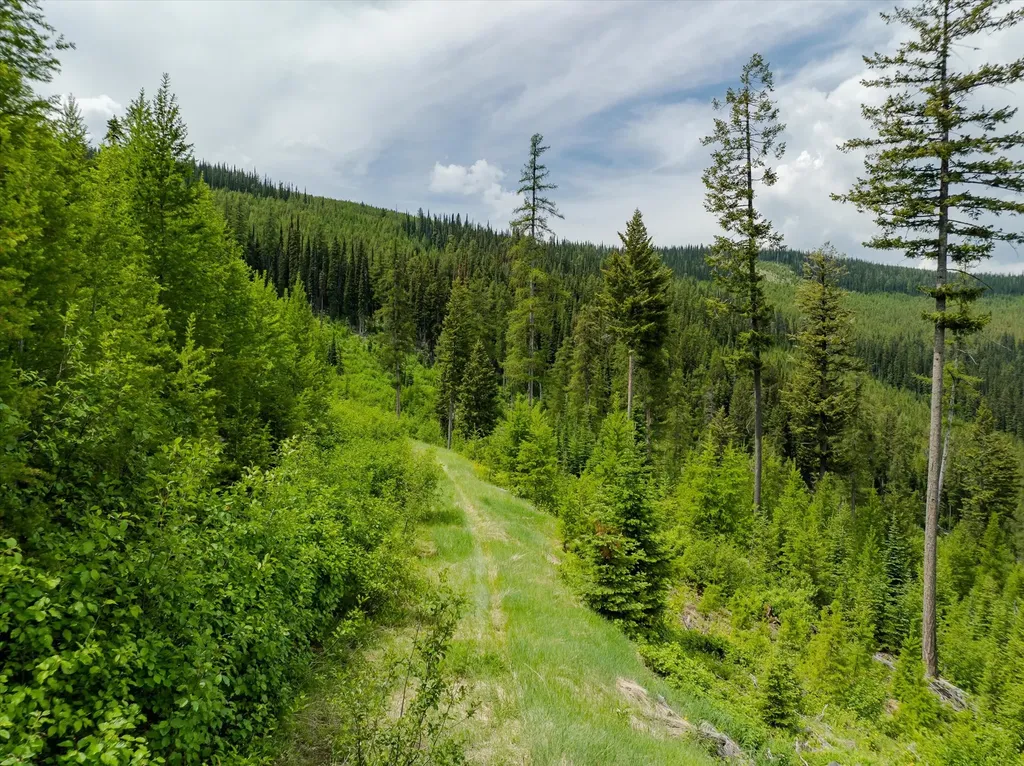 Nhn Fish Creek Road Kalispell MT 59901