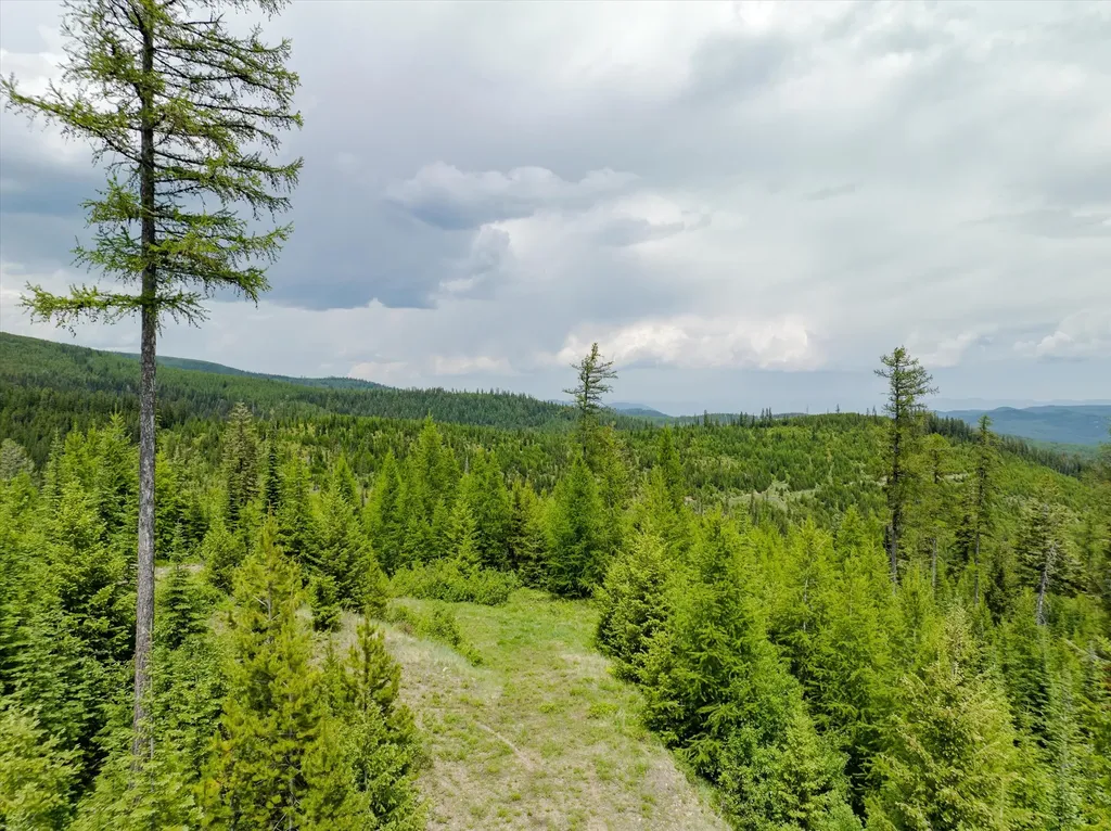 Nhn Fish Creek Road Kalispell MT 59901