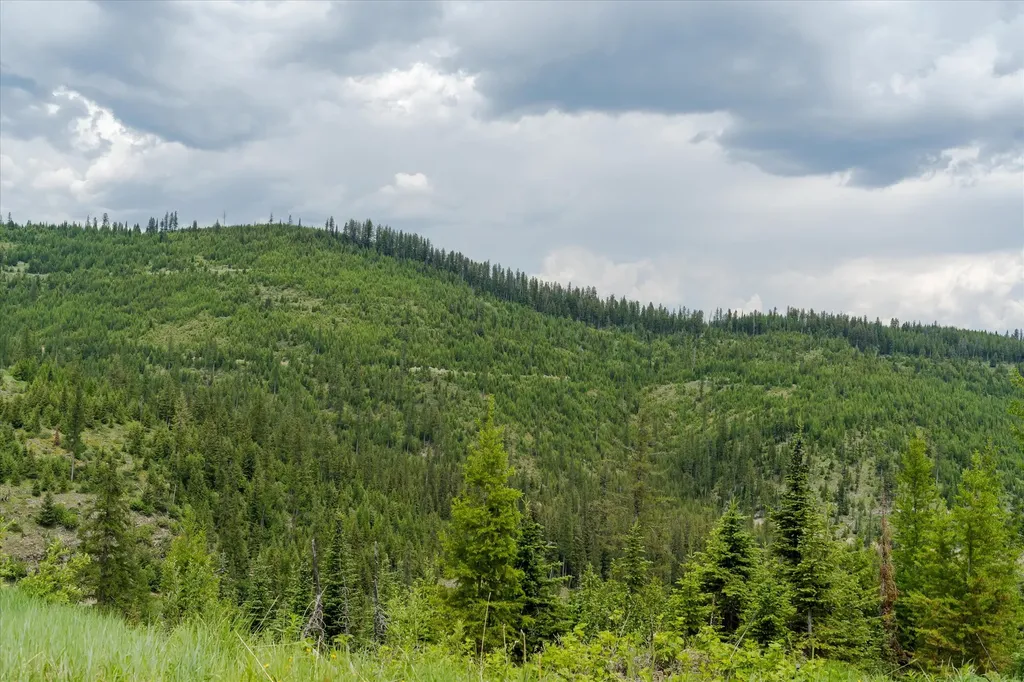 Nhn Fish Creek Road Kalispell MT 59901