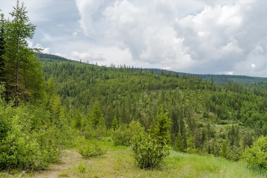 Nhn Fish Creek Road Kalispell MT 59901