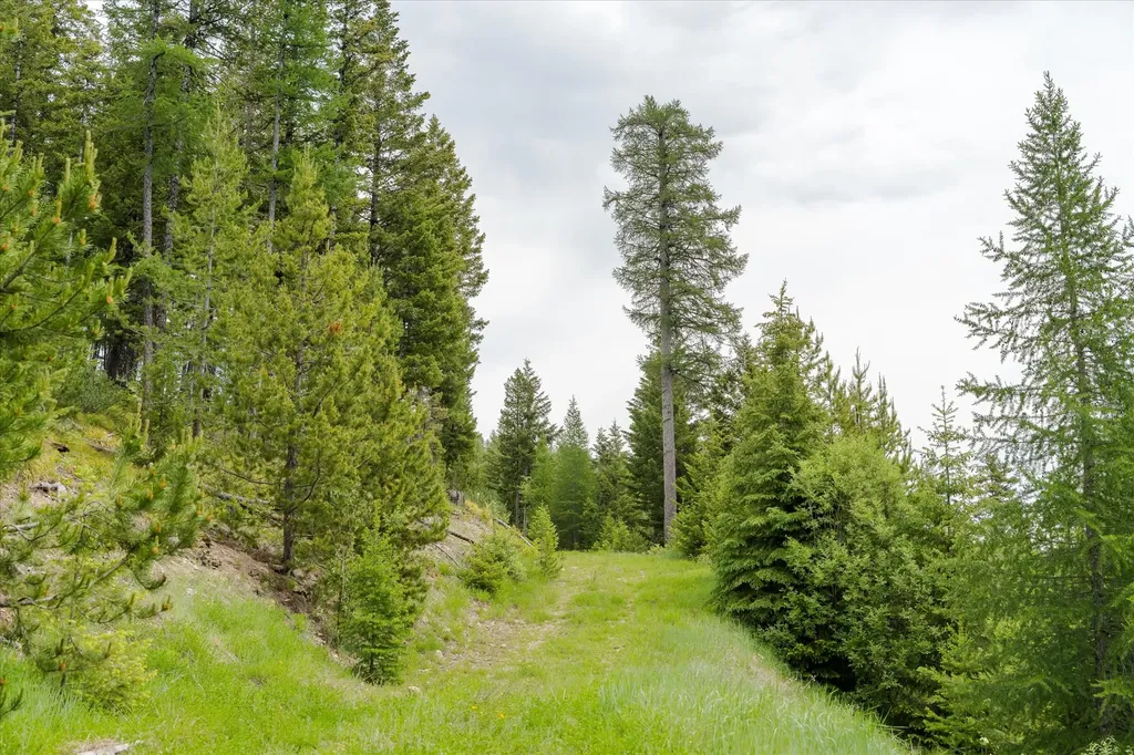 Nhn Fish Creek Road Kalispell MT 59901