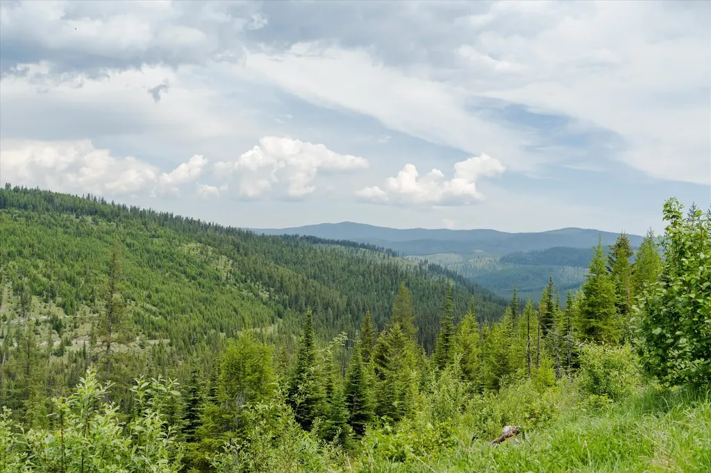 Nhn Fish Creek Road Kalispell MT 59901