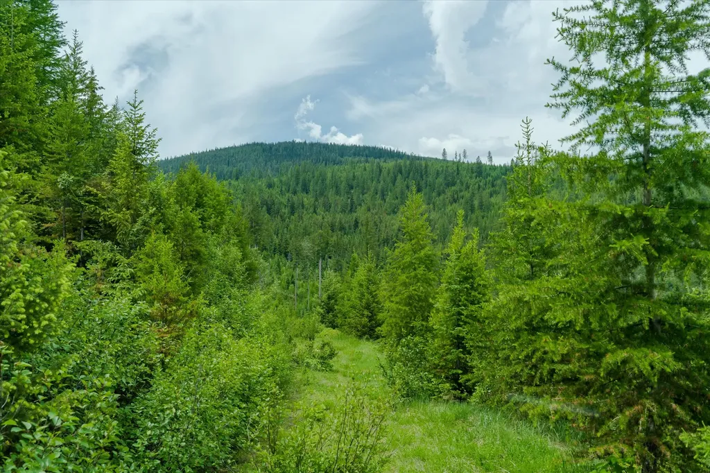 Nhn Fish Creek Road Kalispell MT 59901