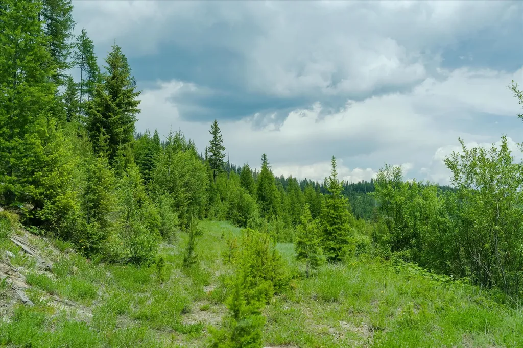 Nhn Fish Creek Road Kalispell MT 59901