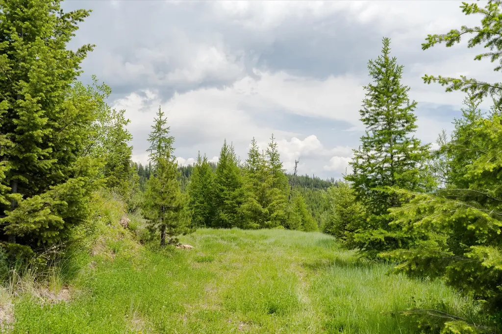 Nhn Fish Creek Road Kalispell MT 59901