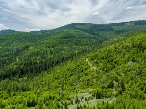 Nhn Fish Creek Road Kalispell MT 59901