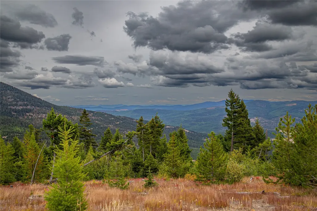 Nhn Haskill Mountain Ranch Road Kila MT 59920