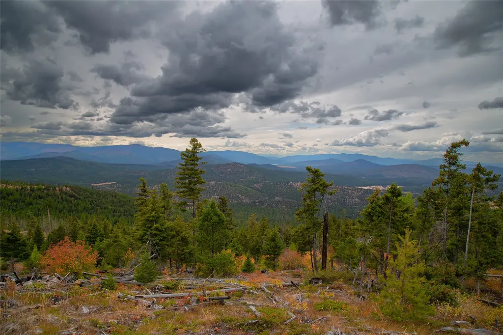 Nhn Haskill Mountain Ranch Road Kila MT 59920