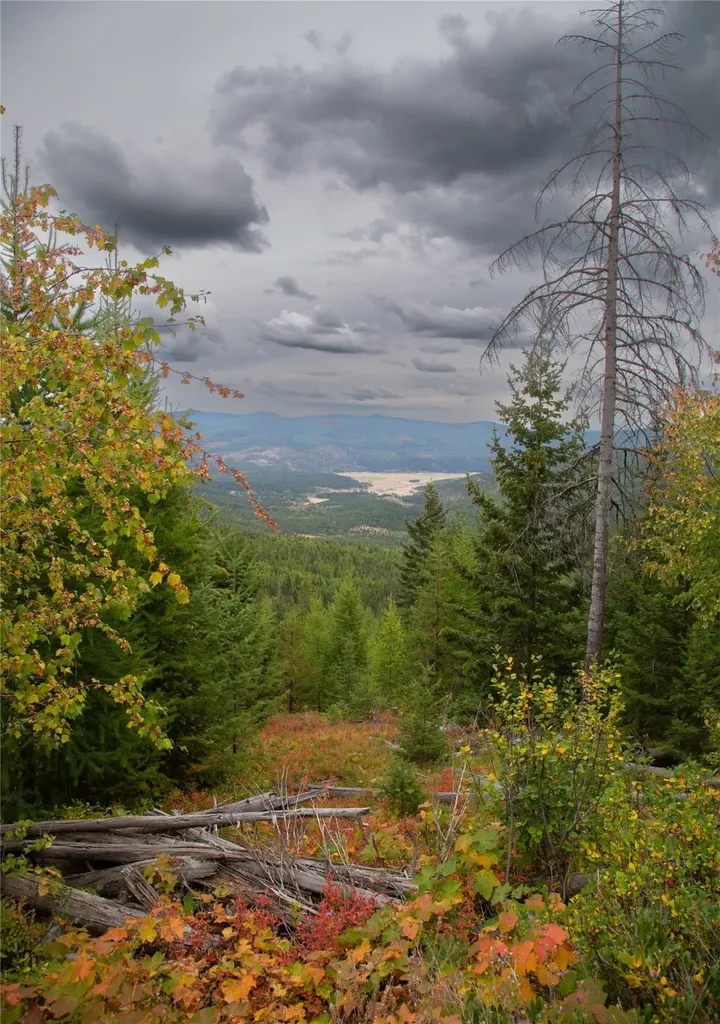 Nhn Haskill Mountain Ranch Road Kila MT 59920