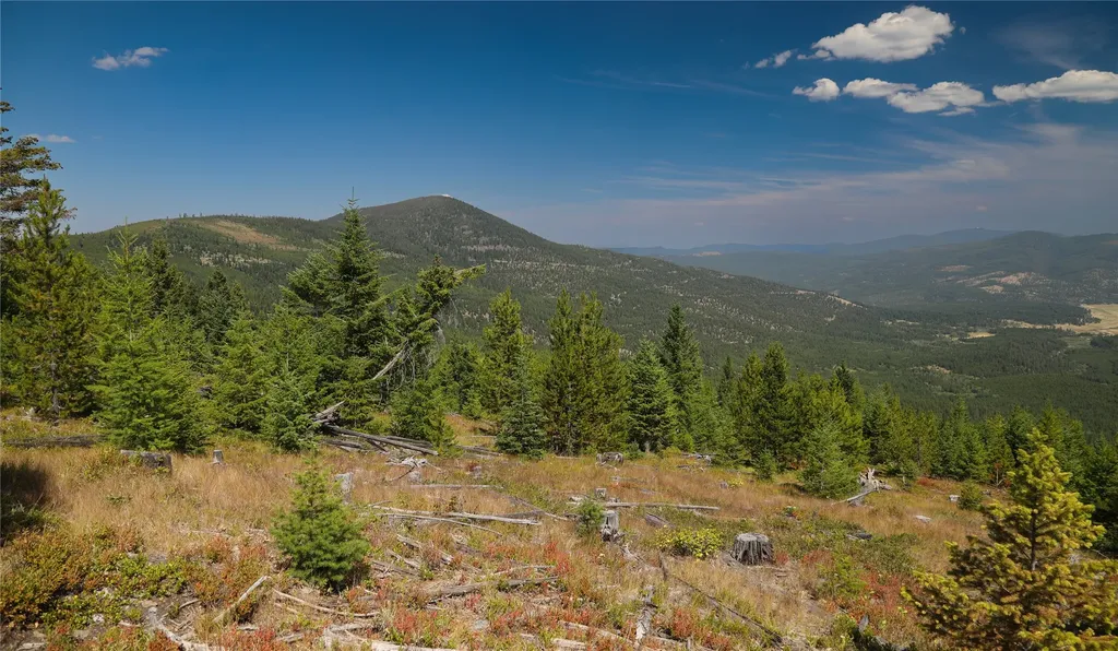 Nhn Haskill Mountain Ranch Road Kila MT 59920