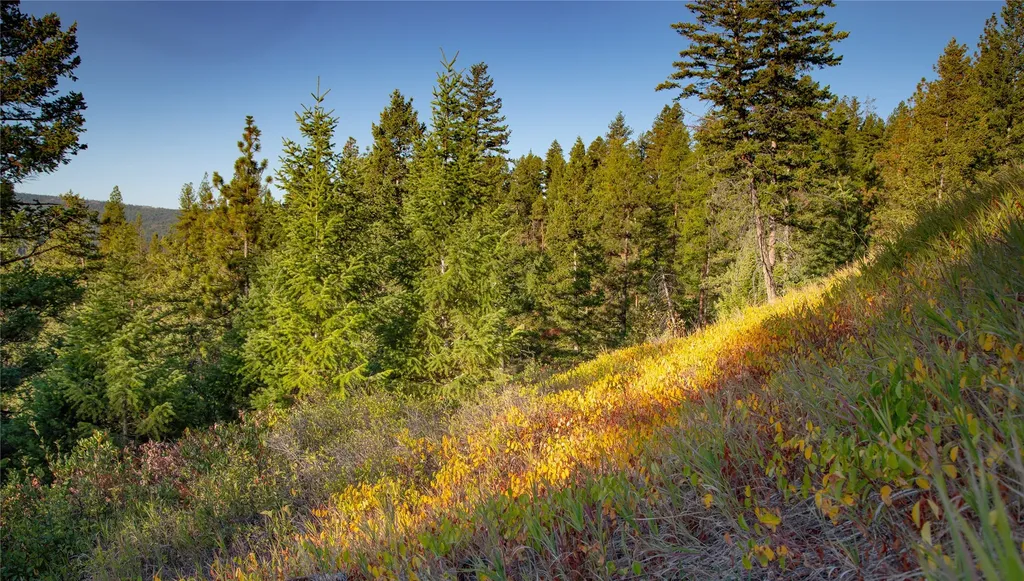 Nhn Haskill Mountain Ranch Road Kila MT 59920