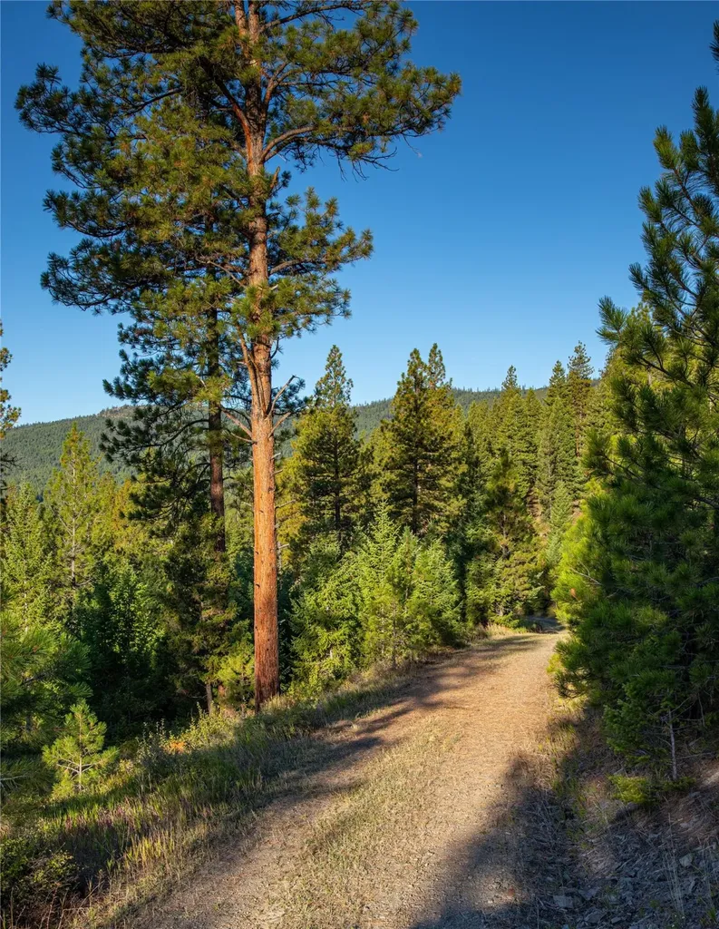Nhn Haskill Mountain Ranch Road Kila MT 59920