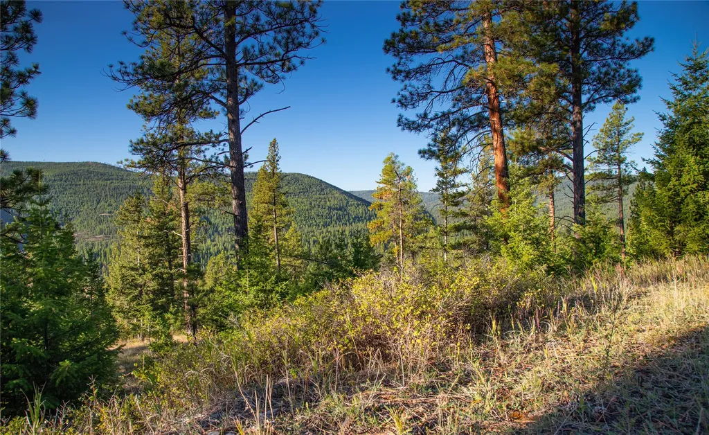 Nhn Haskill Mountain Ranch Road Kila MT 59920