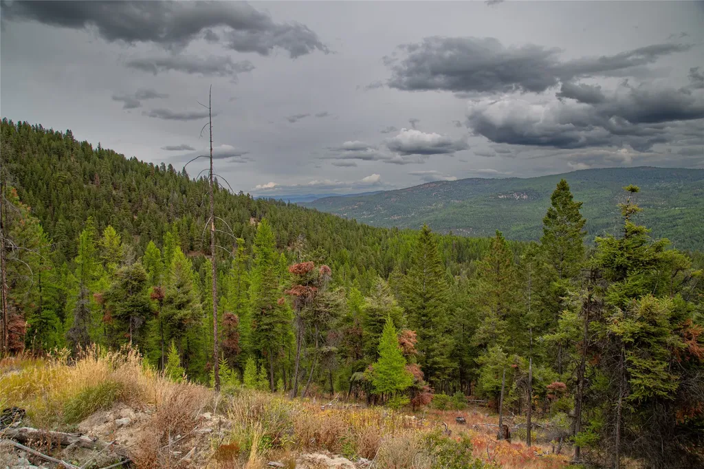 Nhn Haskill Mountain Ranch Road Kila MT 59920
