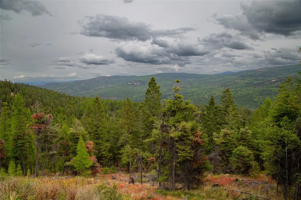 Nhn Haskill Mountain Ranch Road Kila MT 59920