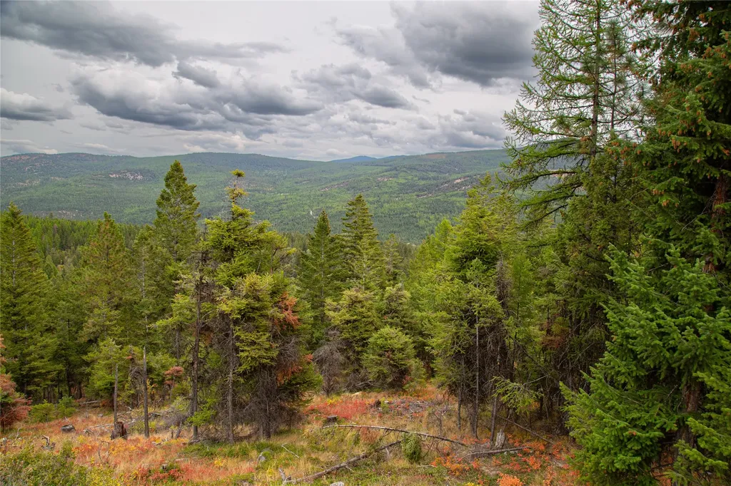 Nhn Haskill Mountain Ranch Road Kila MT 59920