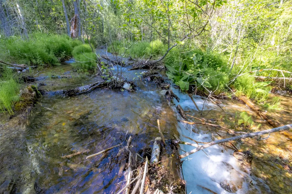 Nhn Trumble Canyon Road Columbia Falls MT 59912