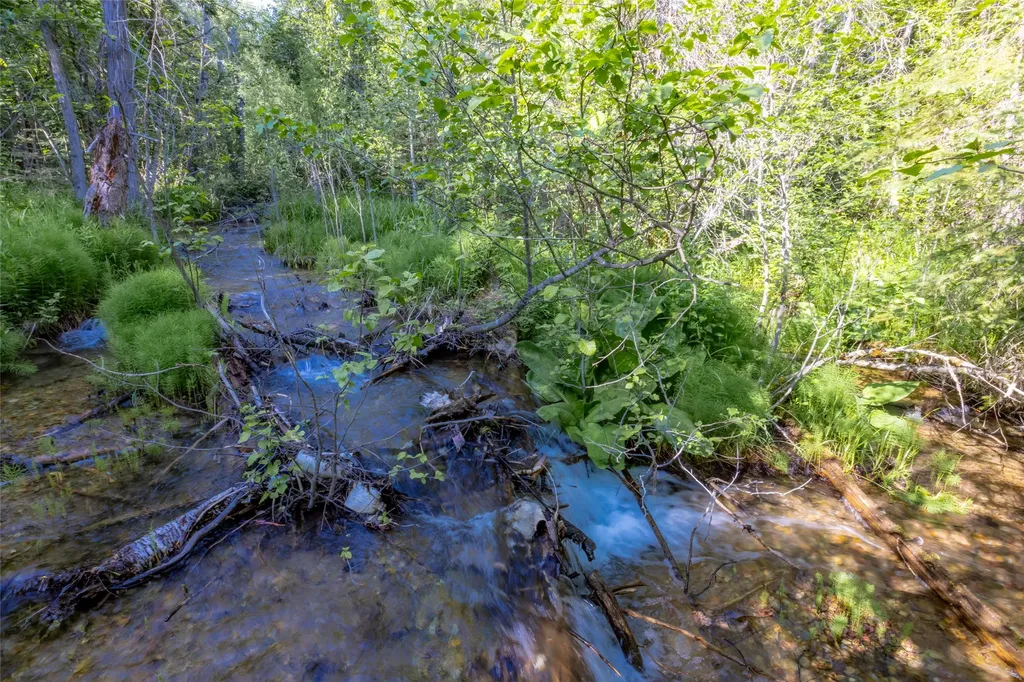 Nhn Trumble Canyon Road Columbia Falls MT 59912