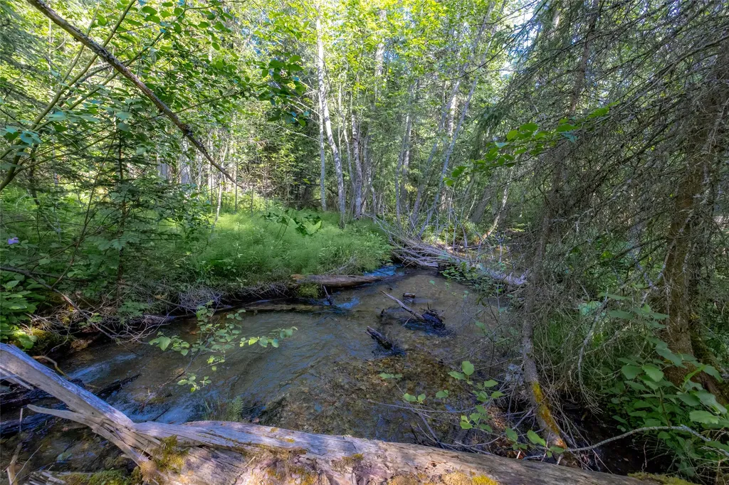 Nhn Trumble Canyon Road Columbia Falls MT 59912