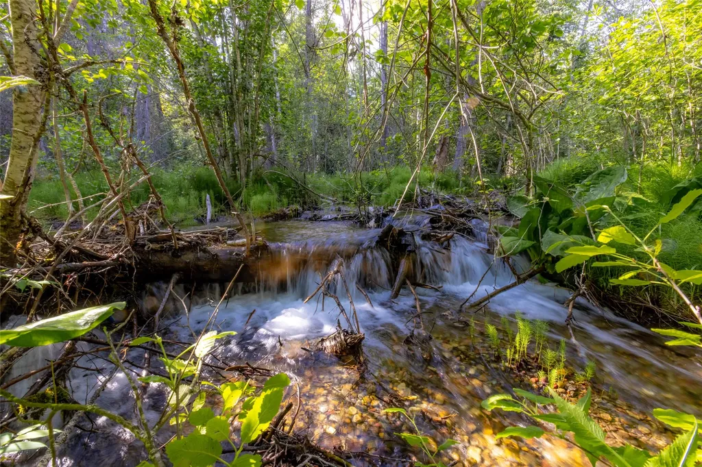 Nhn Trumble Canyon Road Columbia Falls MT 59912