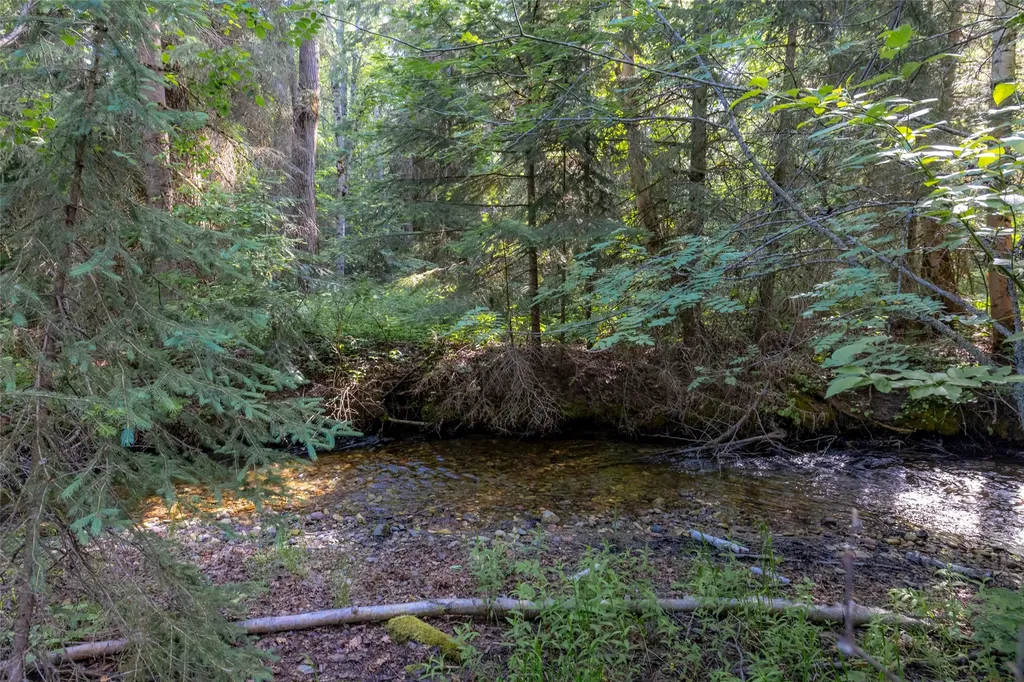 Nhn Trumble Canyon Road Columbia Falls MT 59912