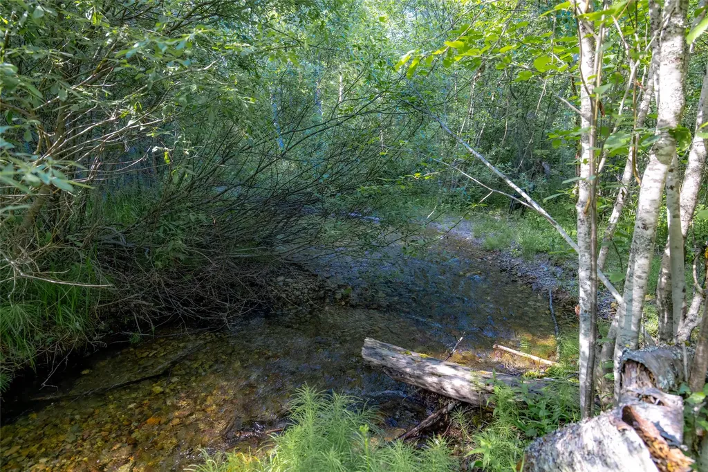 Nhn Trumble Canyon Road Columbia Falls MT 59912