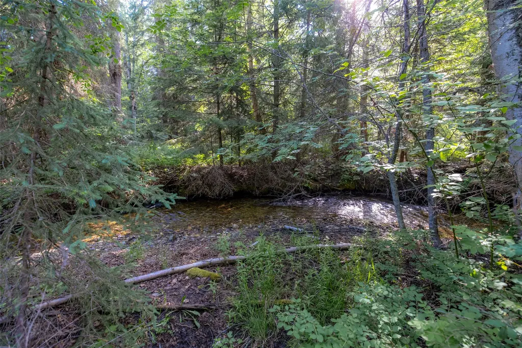 Nhn Trumble Canyon Road Columbia Falls MT 59912