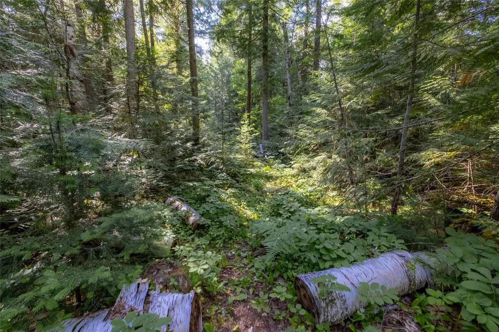 Nhn Trumble Canyon Road Columbia Falls MT 59912