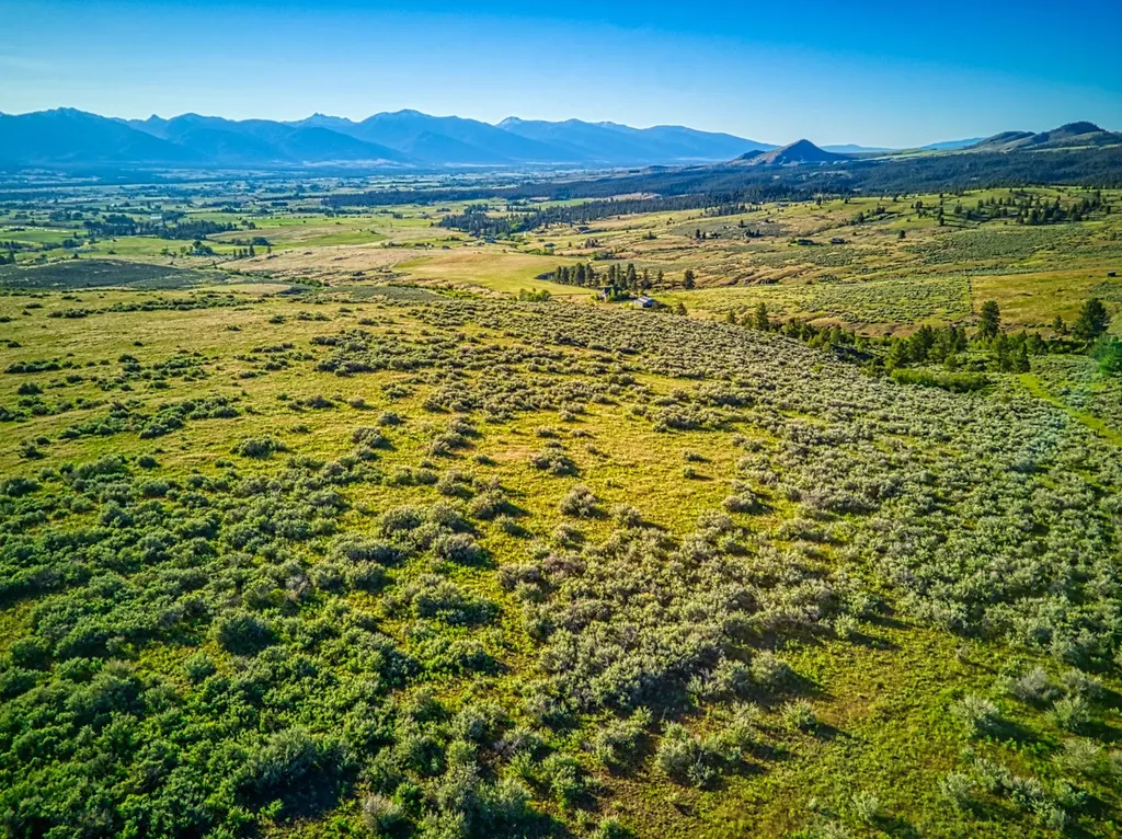 396 Wild Moose Springs Road Corvallis MT 59828