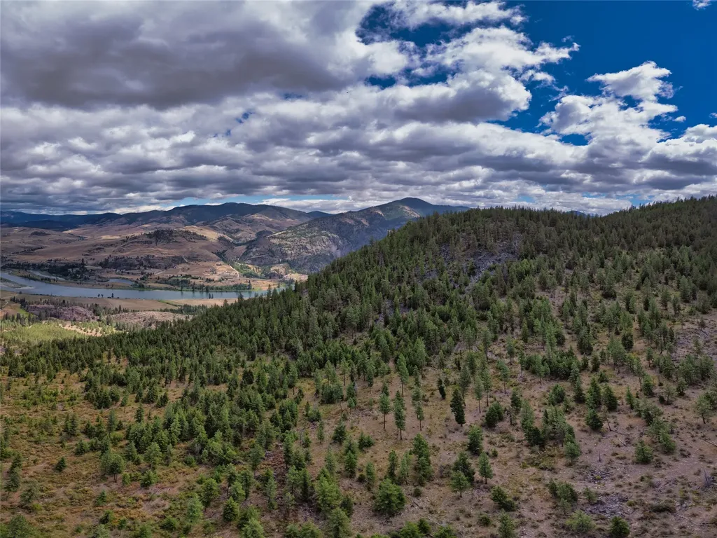 Lot 8 Bighorn Bluff Road Plains MT 59859