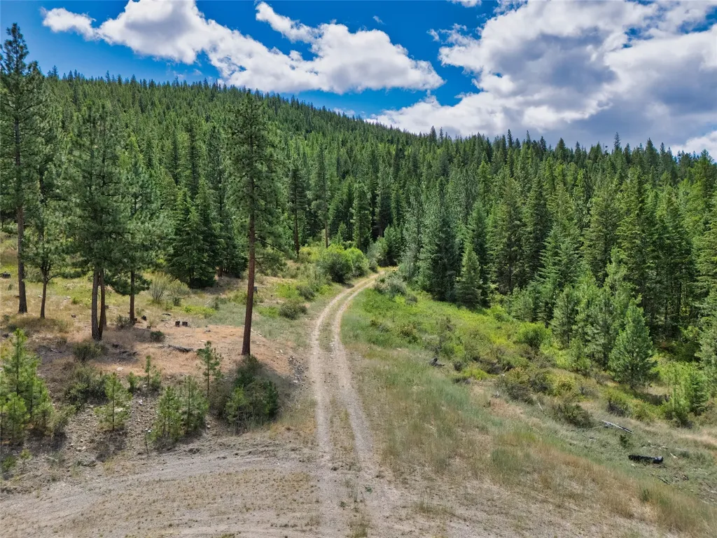Lot 8 Bighorn Bluff Road Plains MT 59859