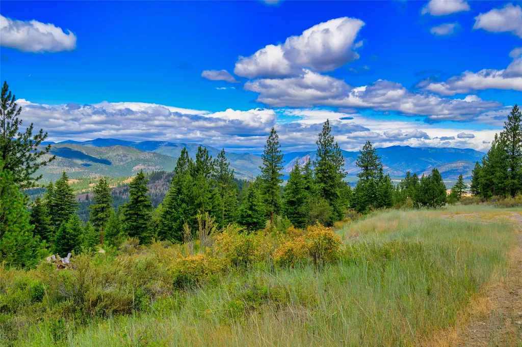 Lot 8 Bighorn Bluff Road Plains MT 59859