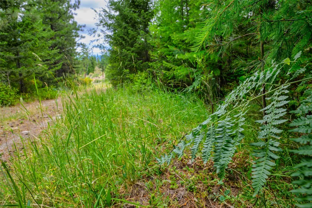 Lot 1 Bighorn Bluff Road Plains MT 59859