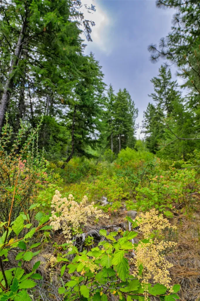 Lot 1 Bighorn Bluff Road Plains MT 59859