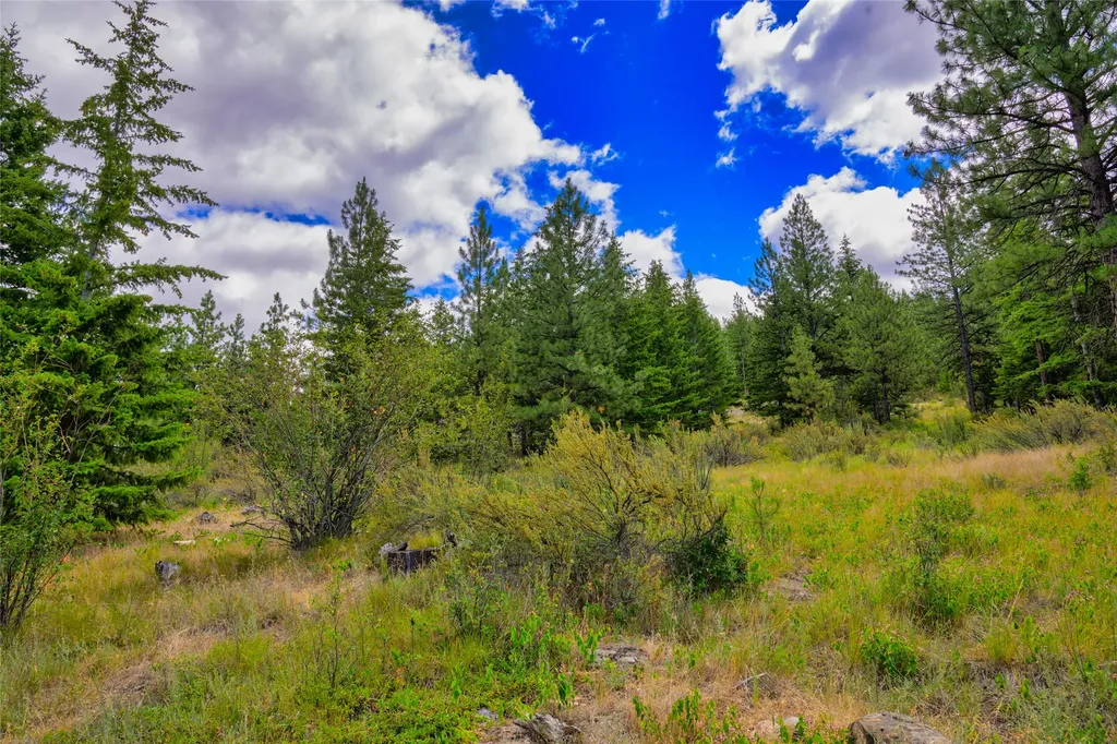 Lot 1 Bighorn Bluff Road Plains MT 59859