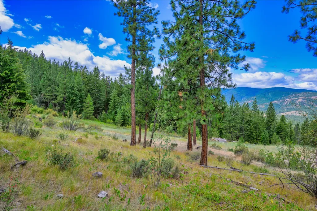 Lot 1 Bighorn Bluff Road Plains MT 59859