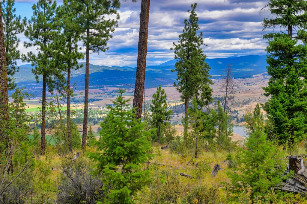 Lot 1 Bighorn Bluff Road Plains MT 59859