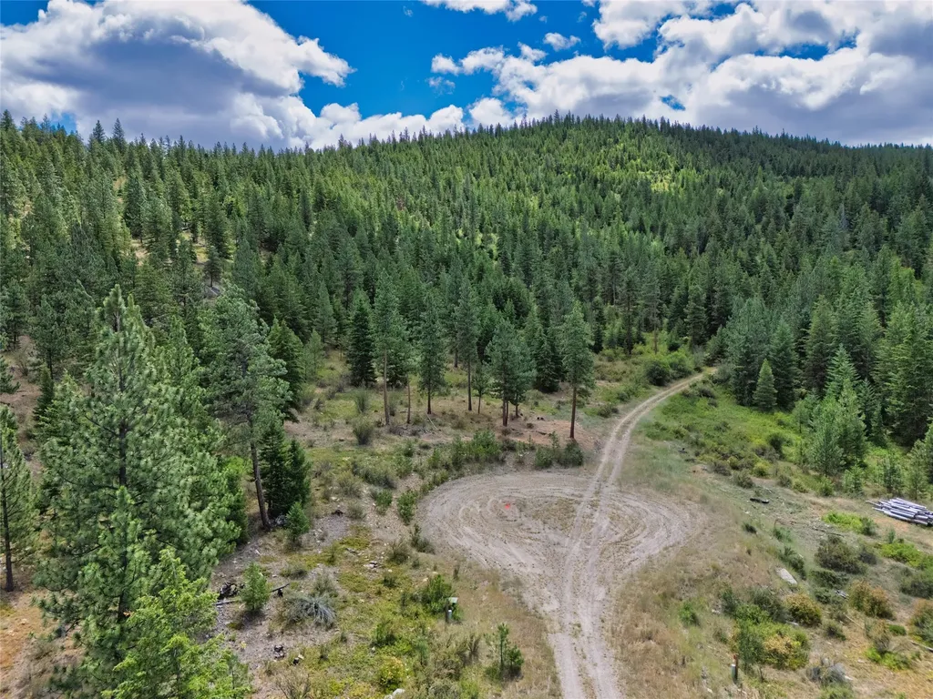 Lot 1 Bighorn Bluff Road Plains MT 59859