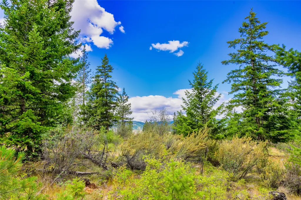 Lot 1 Bighorn Bluff Road Plains MT 59859