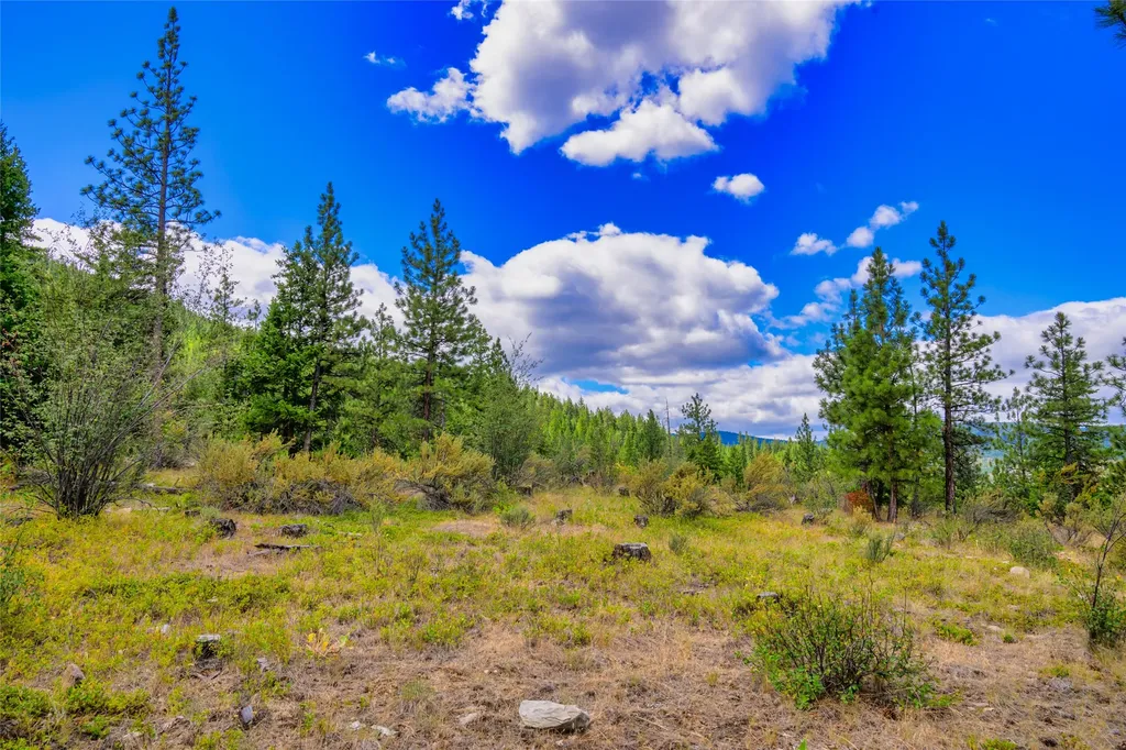 Lot 1 Bighorn Bluff Road Plains MT 59859
