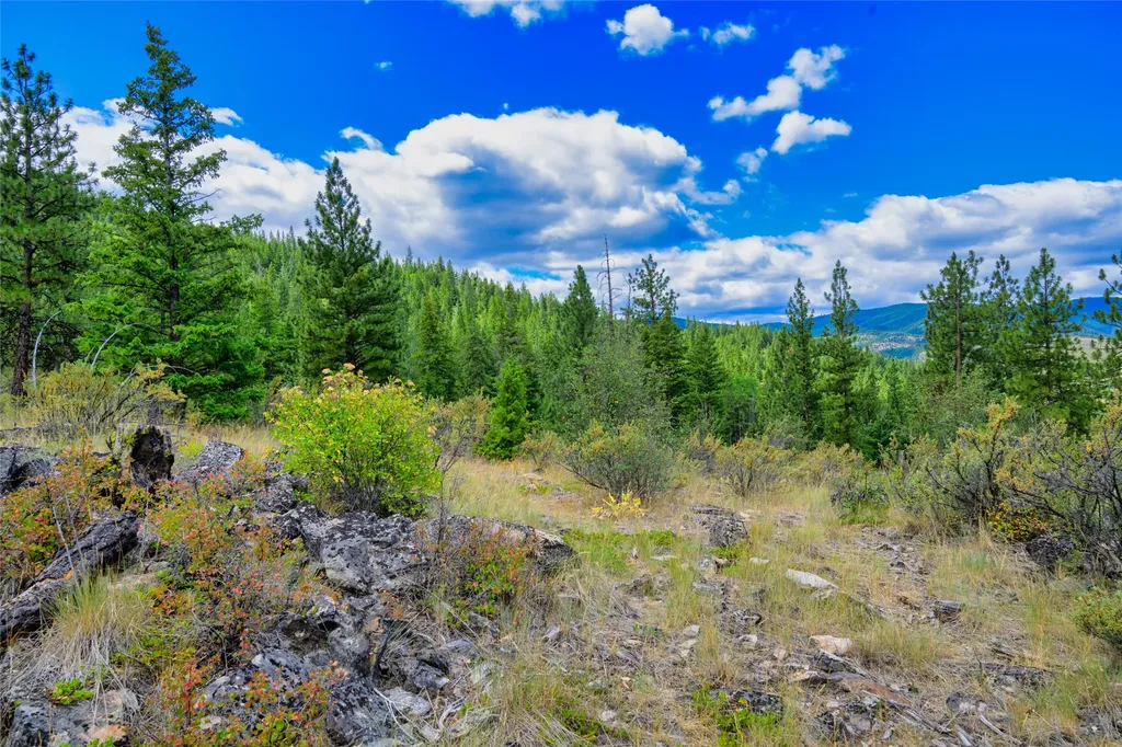 Lot 1 Bighorn Bluff Road Plains MT 59859