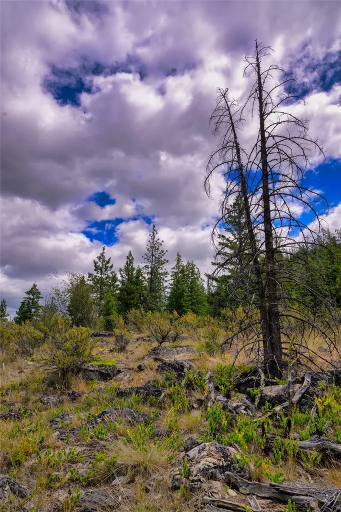 Lot 1 Bighorn Bluff Road Plains MT 59859