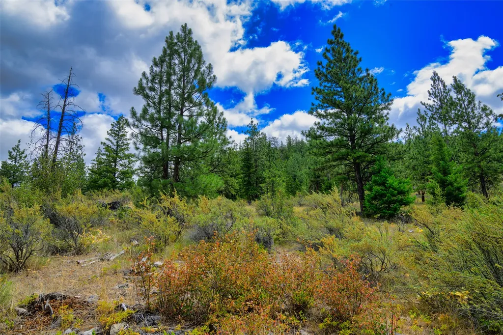 Lot 1 Bighorn Bluff Road Plains MT 59859